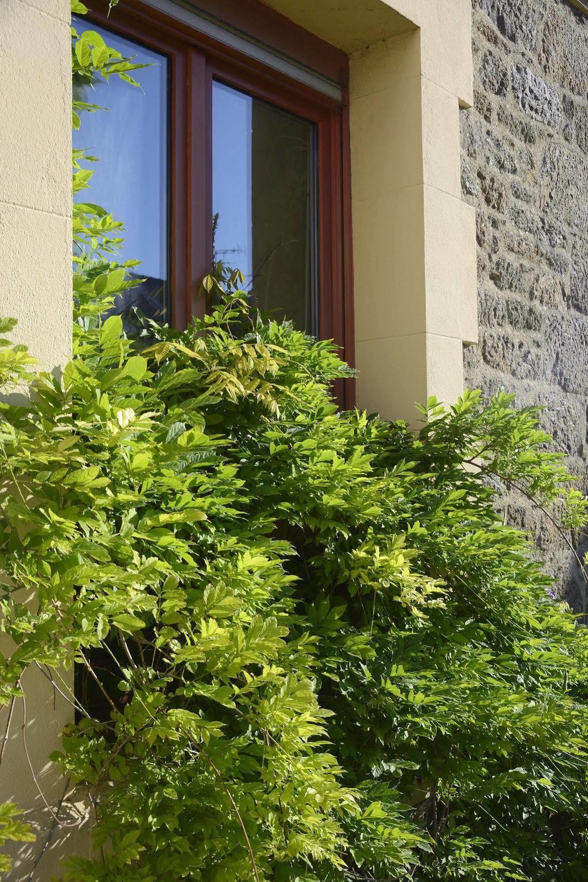 Les Charmettes Hotel Saint-Malo Exterior photo